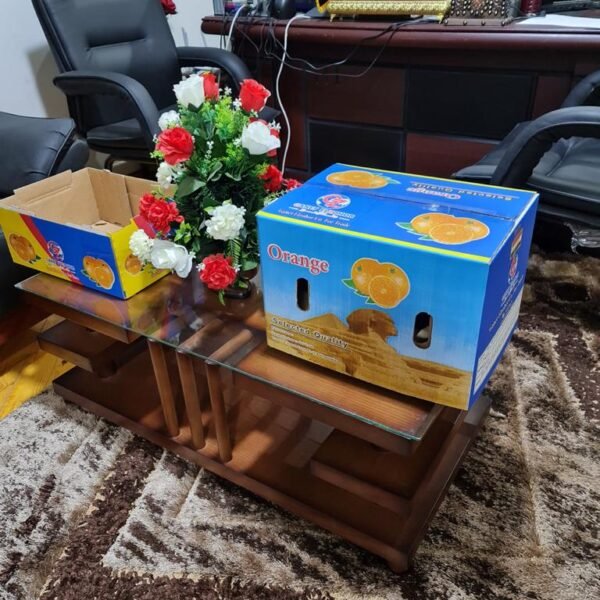 WhatsApp Image 2024 08 19 at 10 17 06 PM 2 600x600