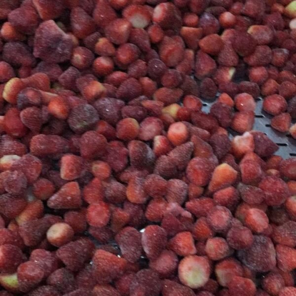 WhatsApp Image 2024 08 19 at 10 25 59 PM 600x600