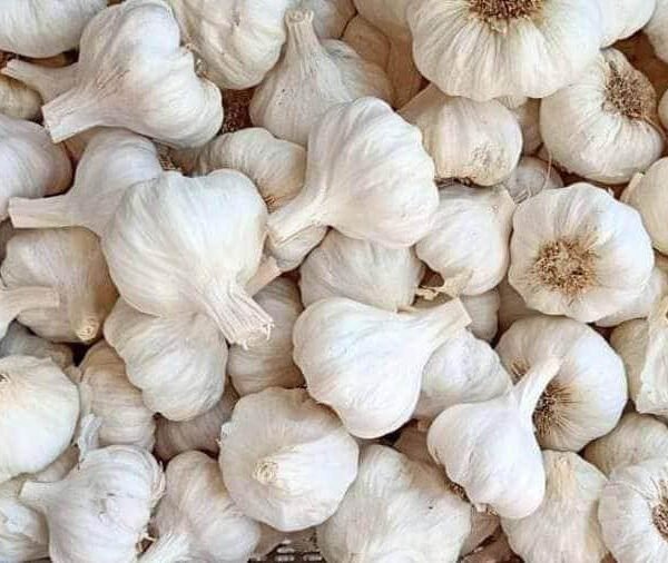 Garlic tayyar  4 1 600x506
